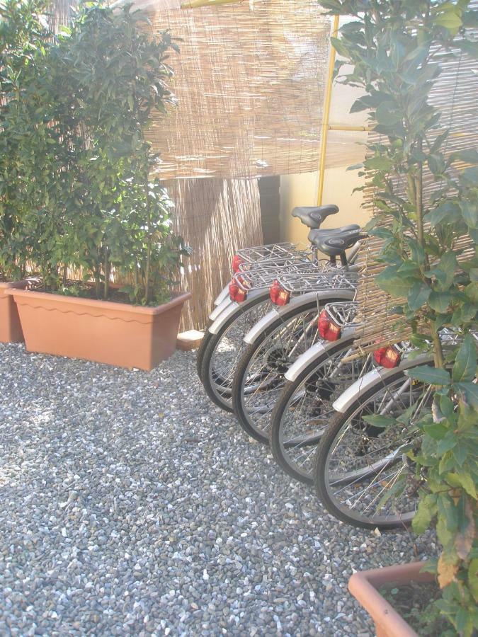 סאן ג'יוליאנו טרמה B&B La Rondine Tra Pisa E Lucca מראה חיצוני תמונה