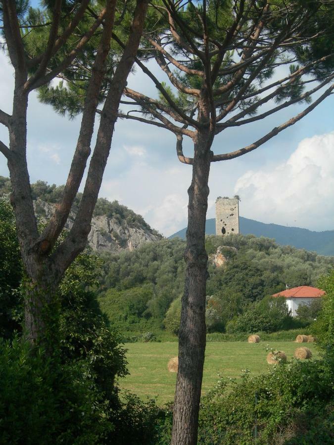 סאן ג'יוליאנו טרמה B&B La Rondine Tra Pisa E Lucca מראה חיצוני תמונה