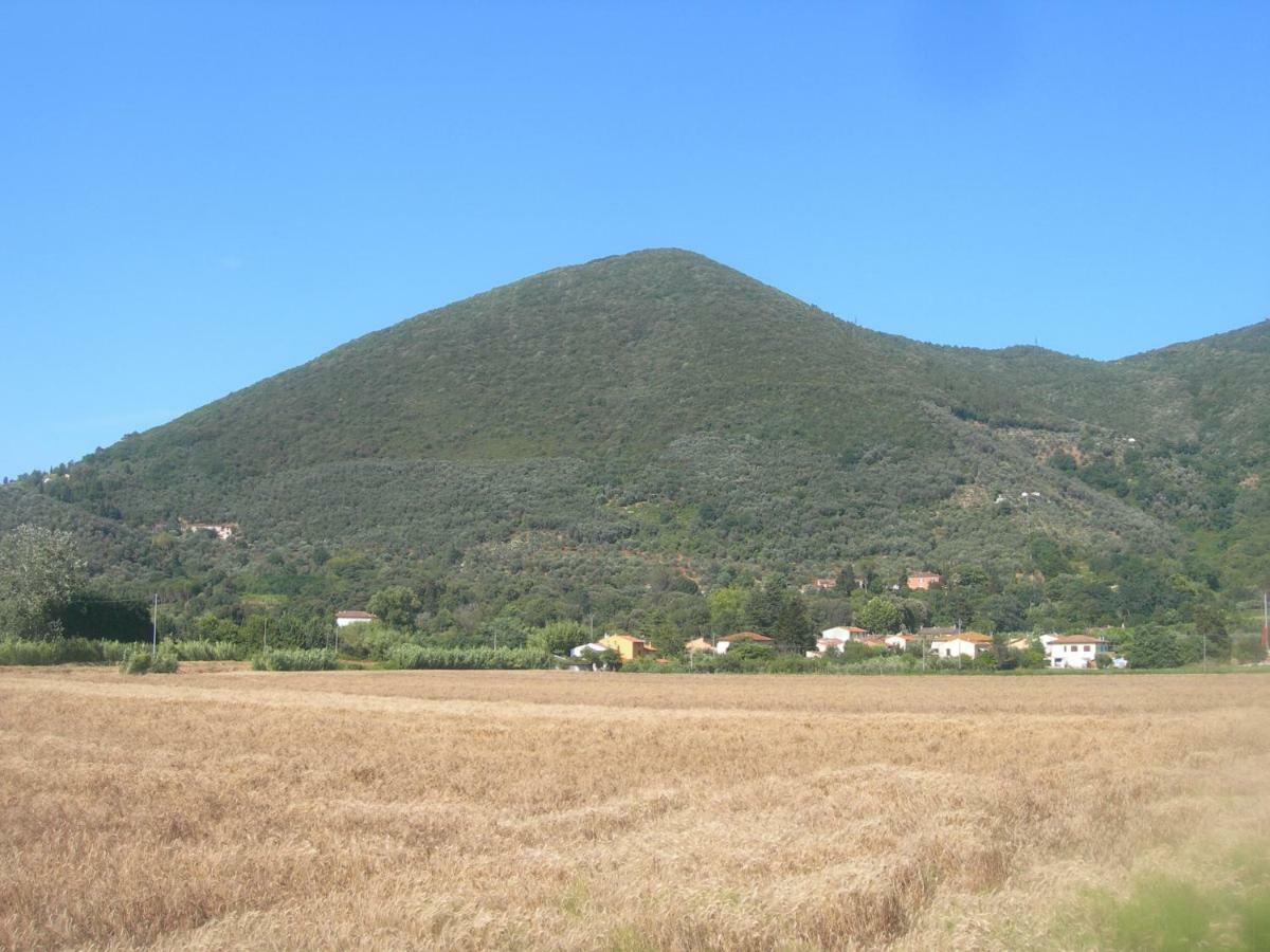 סאן ג'יוליאנו טרמה B&B La Rondine Tra Pisa E Lucca מראה חיצוני תמונה